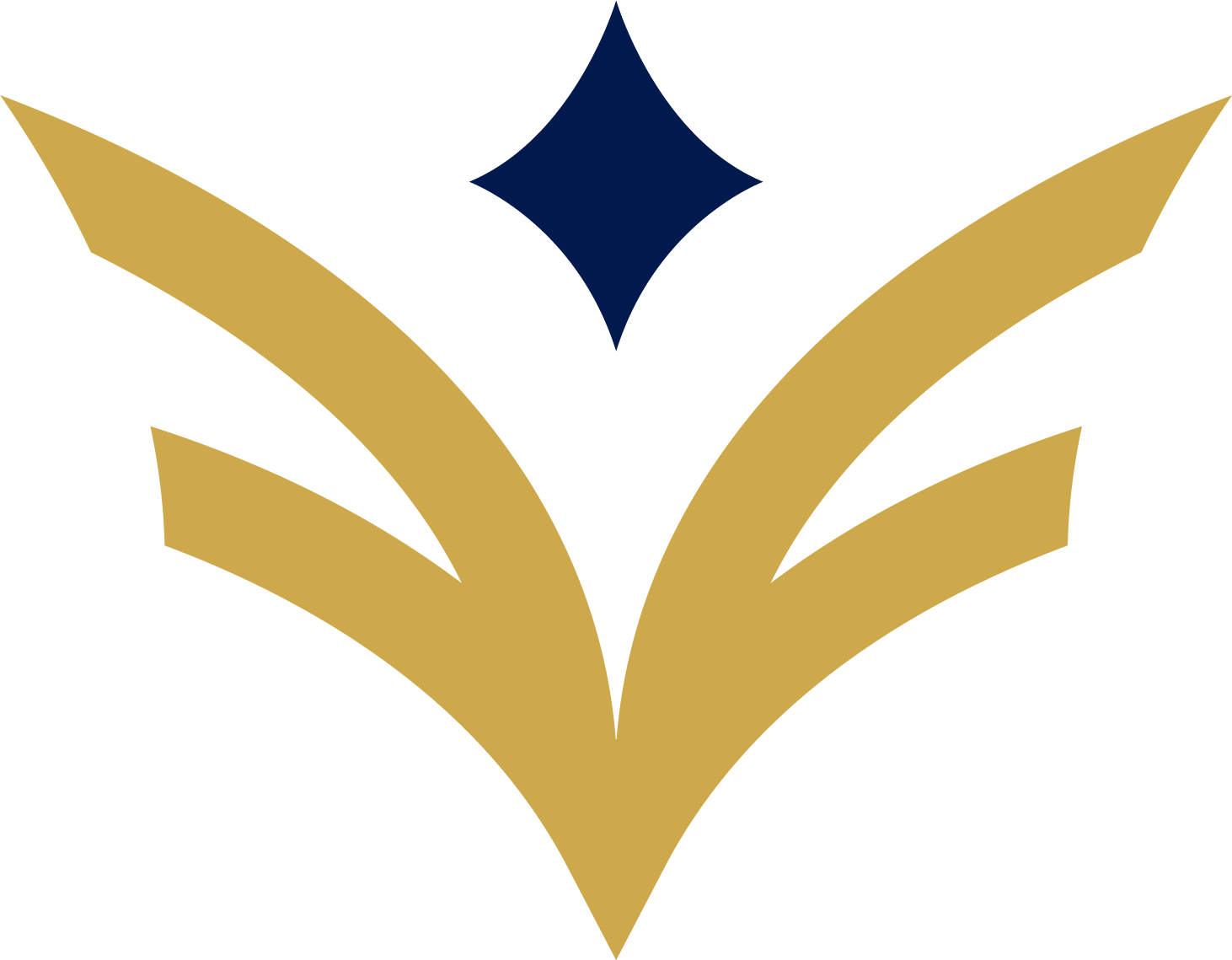 F-Drones Logo